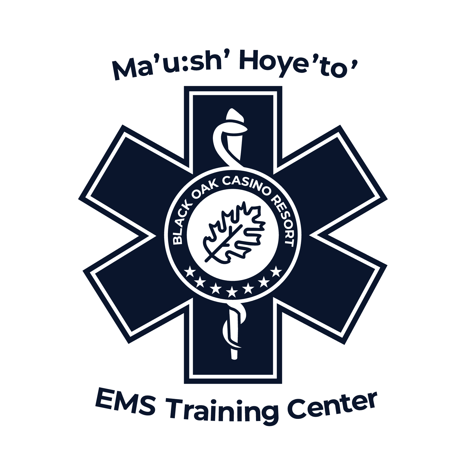 Emergency Medical Services Training & Development